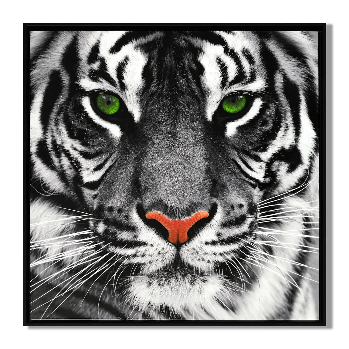 Traditional LAUREN TAYLOR-Canvas Animal 63X63X3.5 Selected