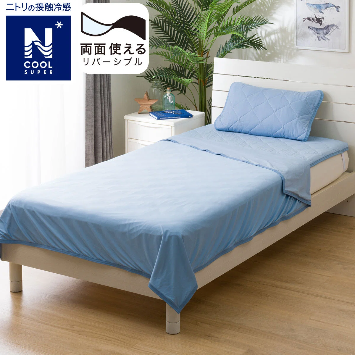 Classic ICY KET N COOL SP D BL S2402 Long-Lasting
