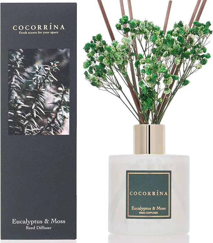 Trendy Cocorrína Reed Diffuser Sets- Eucalyptus Moss Scented Diffuser Genuine