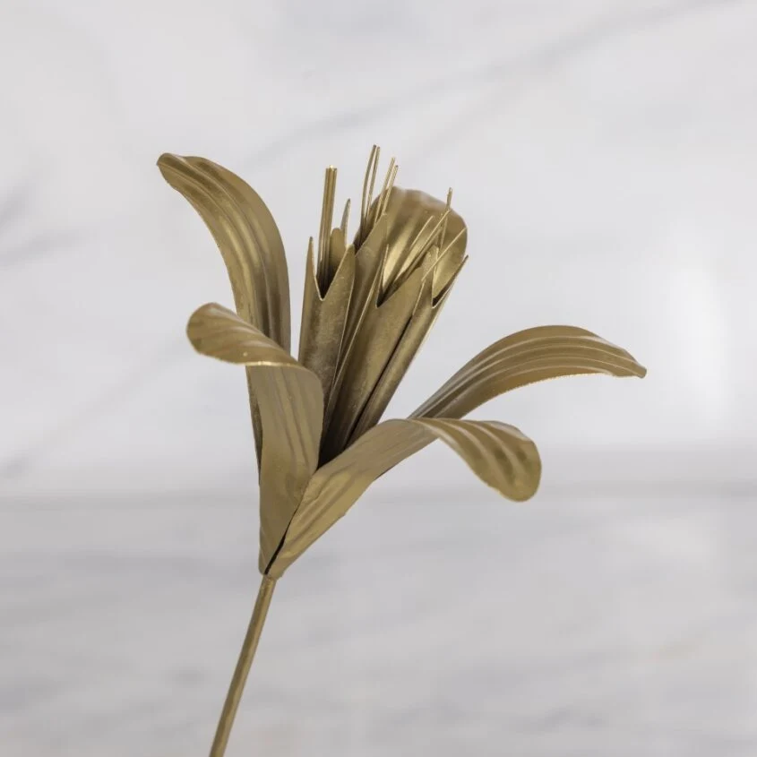 Sophisticated Botanical Stem Lily Quality