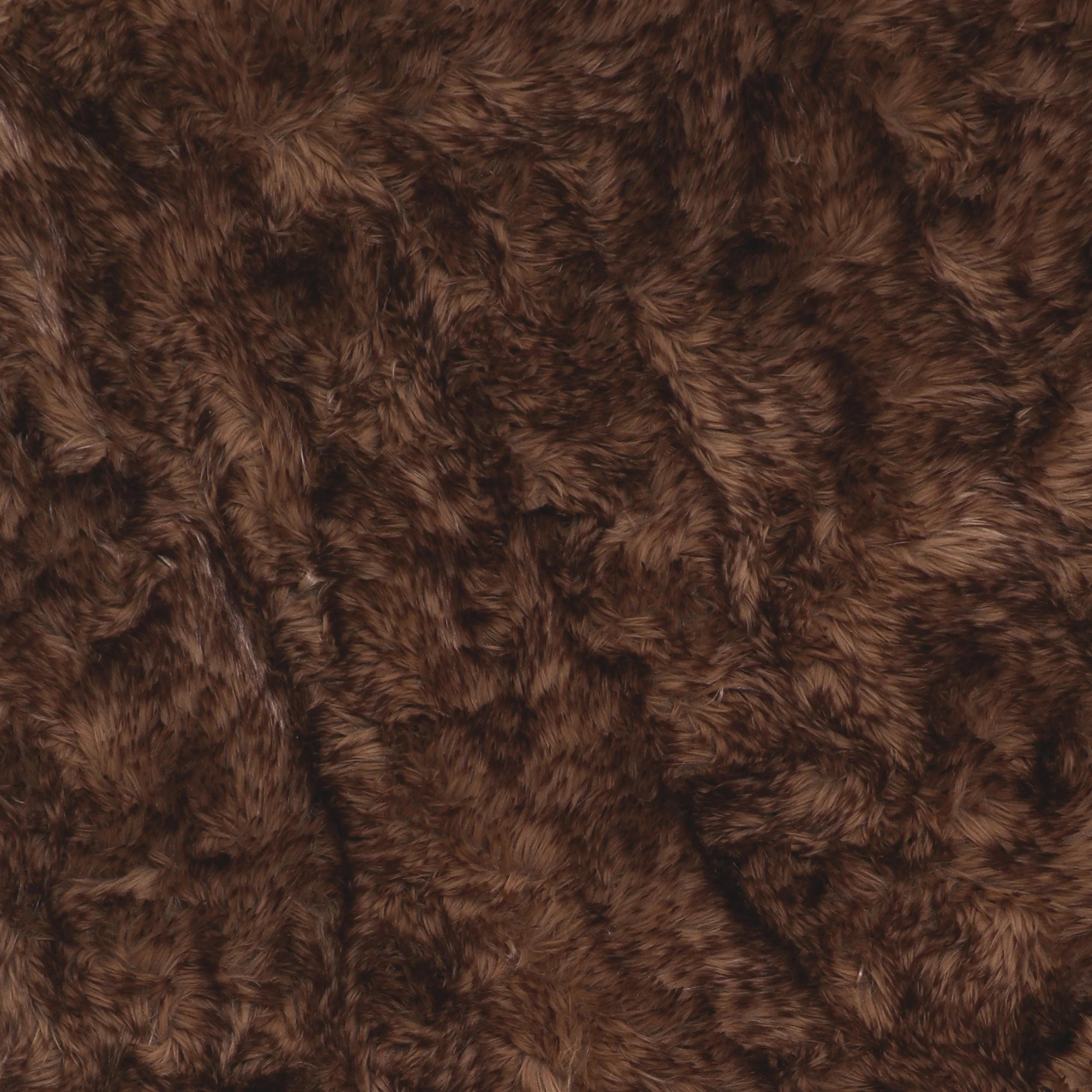 Carefully Designed Cave Bear Fabric by the Yard Grade 40 Detailed