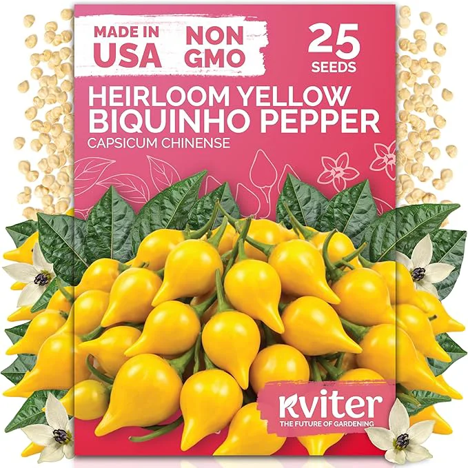 Specialty KVITER 25 Yellow Biquinho Pepper Seeds Verified