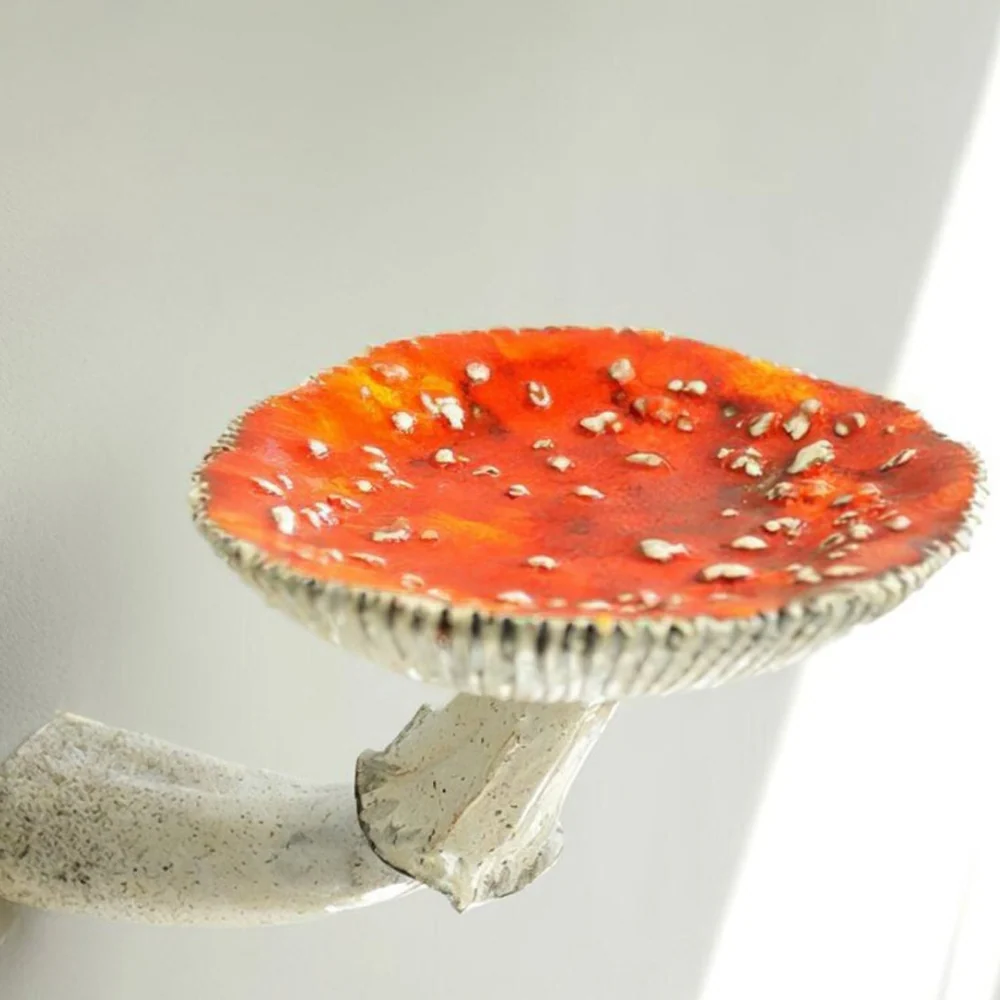 Superior Mycelium Wall Shelf Trusted