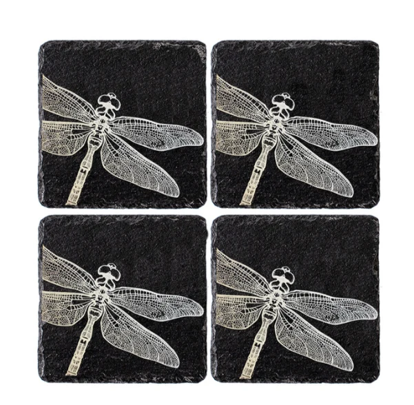 Clean Slate Coaster Set of 4 - Dragonfly Functional