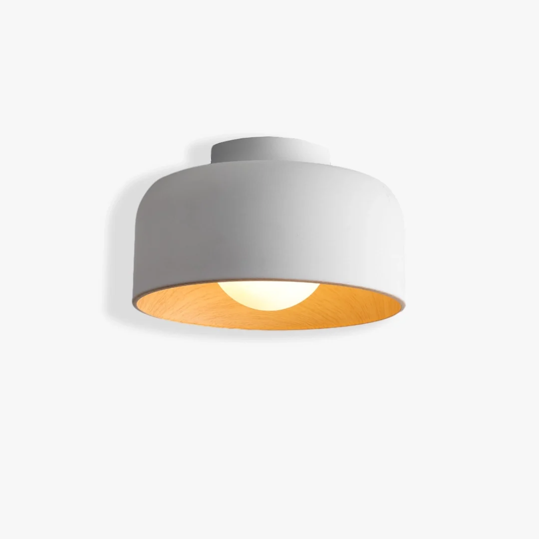 Official Deku Ceiling Light Consistent