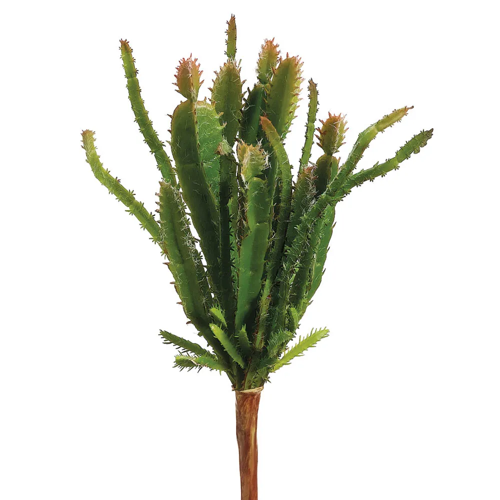 Stylish Cactus Pick 8.5in Lightweight