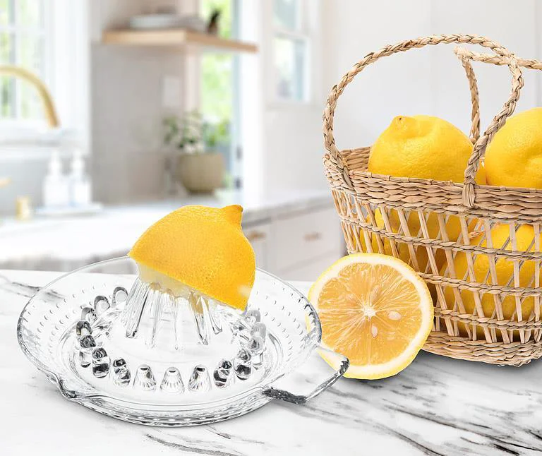 Contemporary Citrus Reamer Reliable