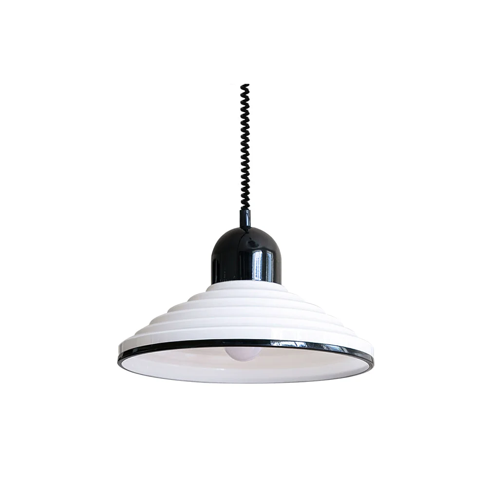 Flexible Codialpo Pendant Lamp User-Friendly