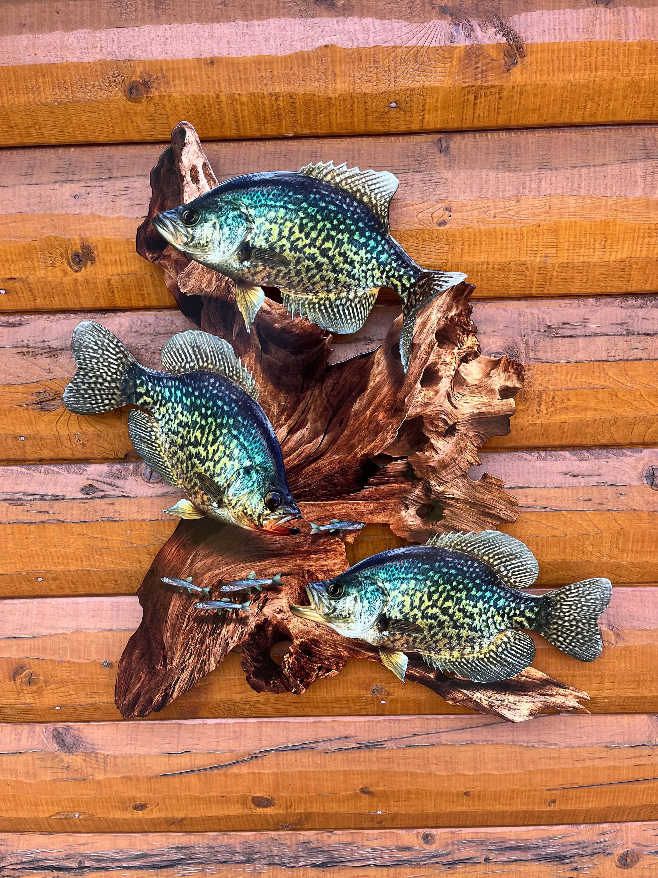 Original Design Crappie Replica Driftwood Scene Metal Rustic Decor Consistent