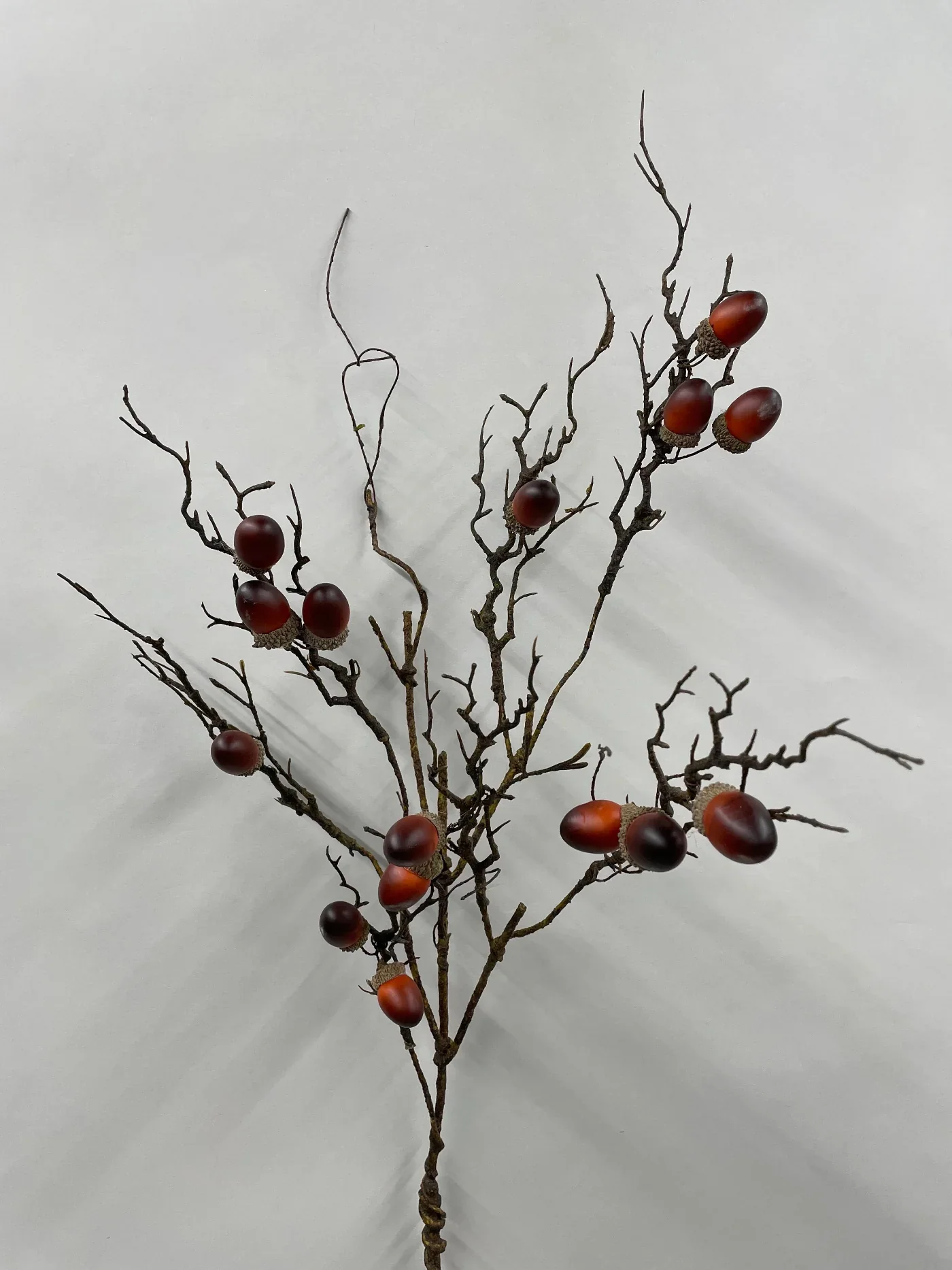 Contemporary Acorn Spray Prestigious