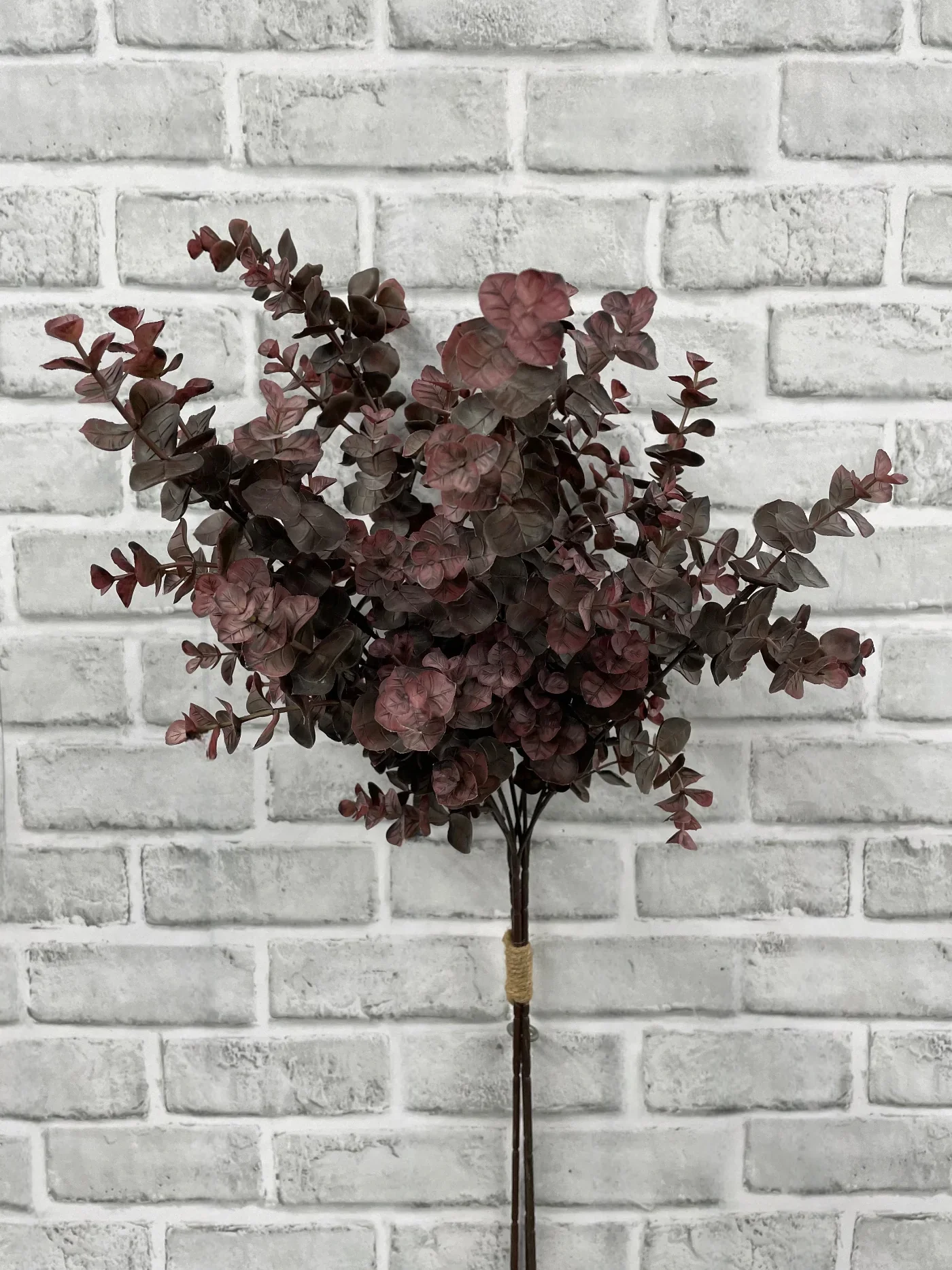 Trendy Eucalyptus Bundle - Burgundy Breathable