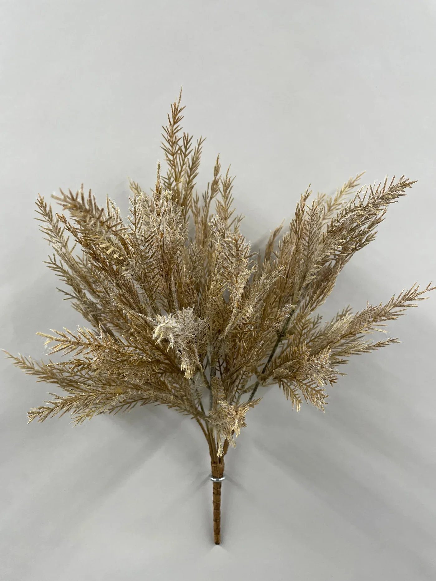 Superior Spikemoss Bush Safe
