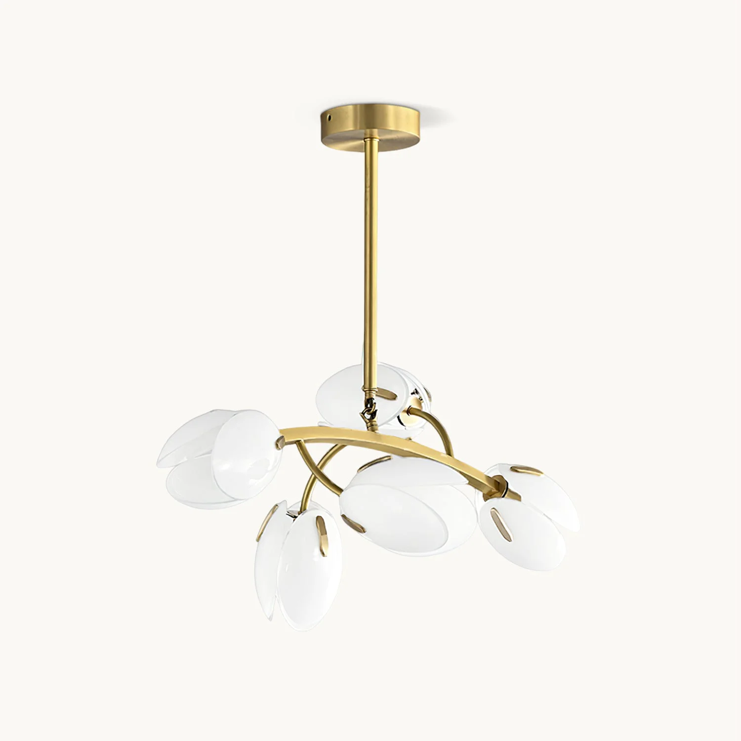 Optimized Belluno Chandelier Natural