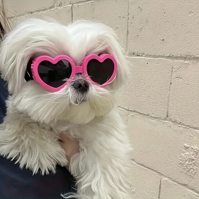 Effective UV Protection Pet Sunglasses - Stylish Eye Protection for Dogs Cats Reliable