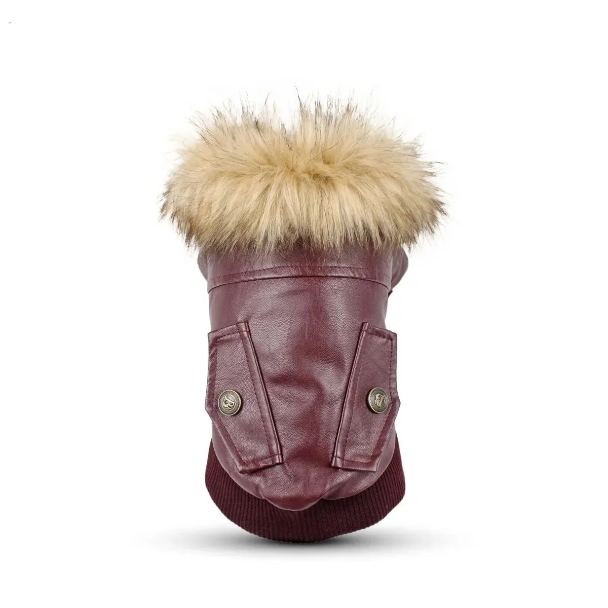 Natural Manteau d'hiver imperméable pour chien - Veste chaude pour chiens de petite et moyenne taille Comfortable
