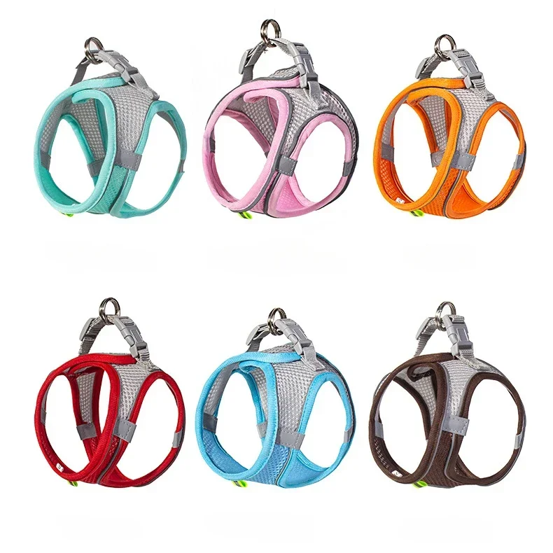 Luxury Ensemble harnais et laisse pour petit chien Stylish