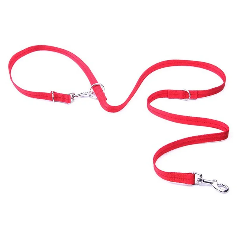 Elite Laisse double pour animaux de compagnie 190cm - Laisse jumelle en V pour deux chiens ou chats Casual