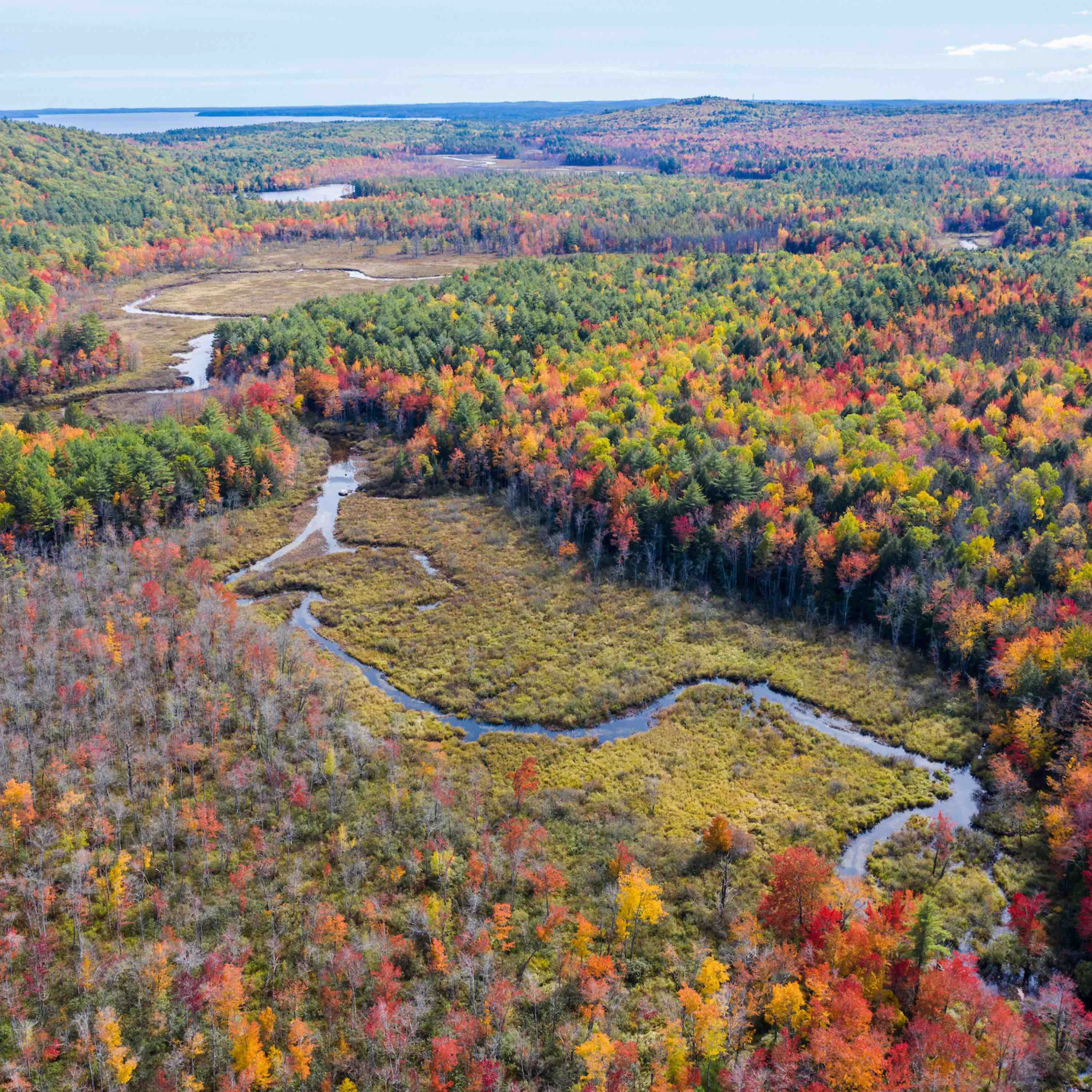 Soft Grove Collaborative Protect Safe Drinking Water in Maine Expertly Made