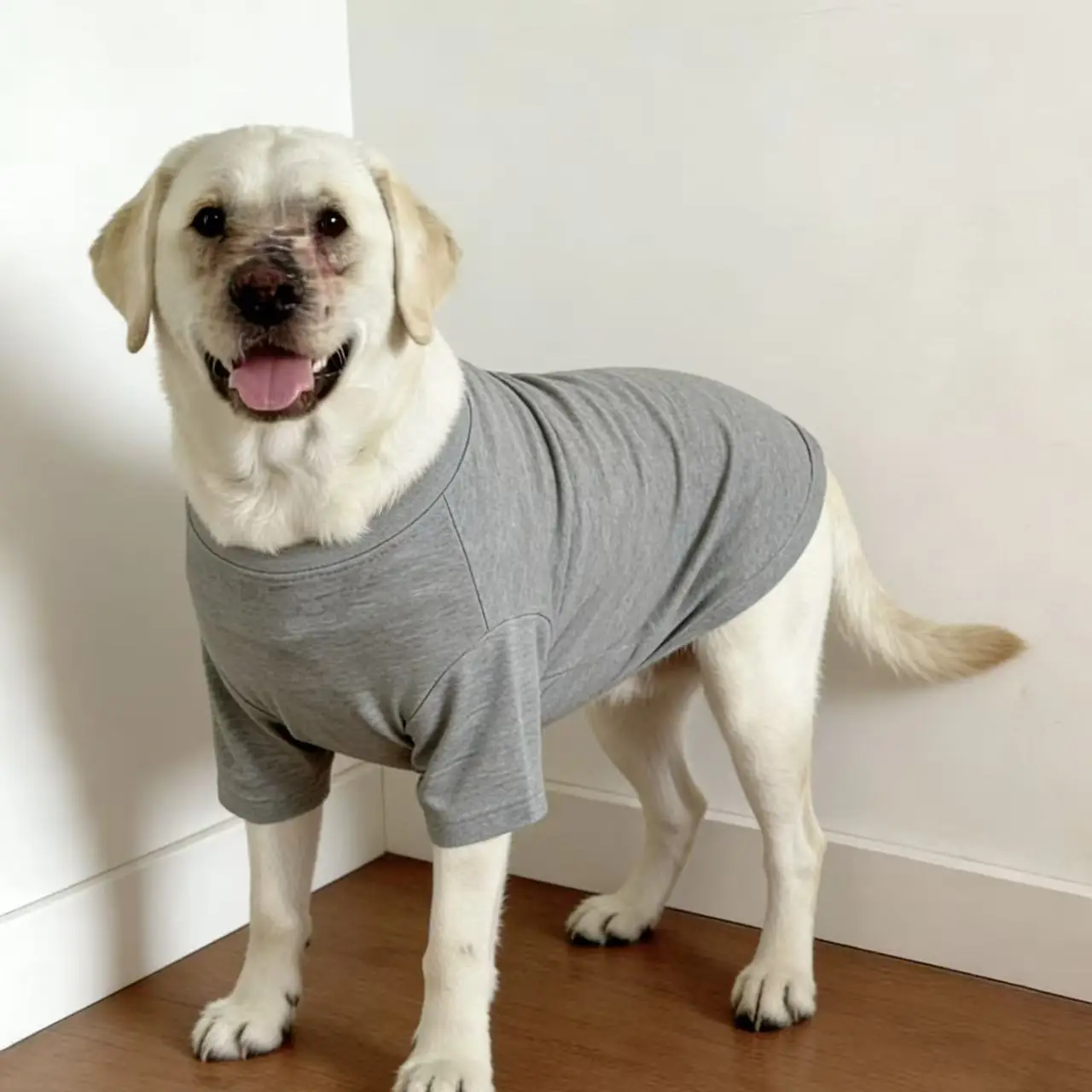 Original Gilet rafraîchissant doux et respirant pour chien T-shirt décontracté d'été pour chiens de taille moyenne et grande Artisan