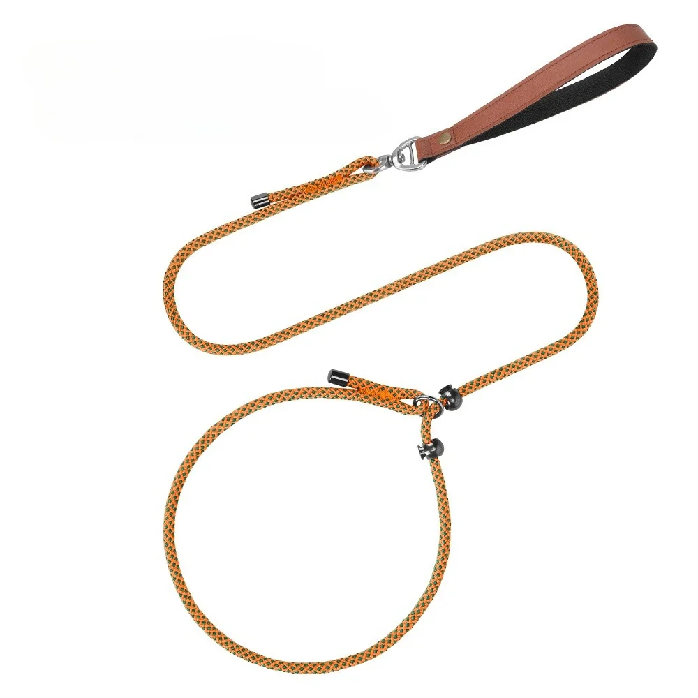 Refined Laisse-collier étrangleur anti-nœuds réglable pour petits chiens Reusable