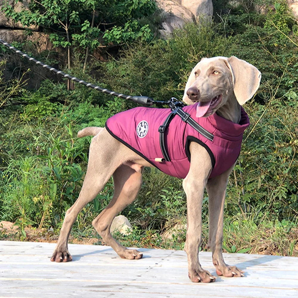 Eco-Friendly Waterproof Reflective Winter Dog Jacket Easy-to-Use