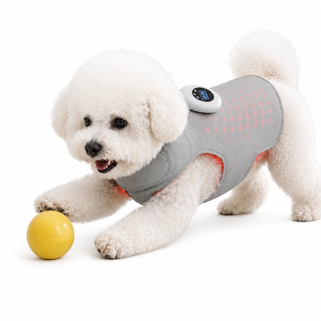Organic Wearable Pet Red Light Therapy Wrap for Dogs Cats Unique