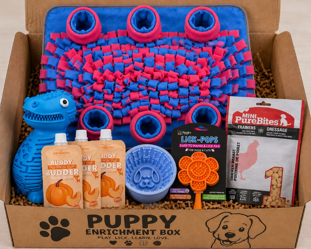 Optimized Puppy Enrichment Box — Snuffle Mat Topplesaurus Buddy Bowl Buddy Bu Minimalist