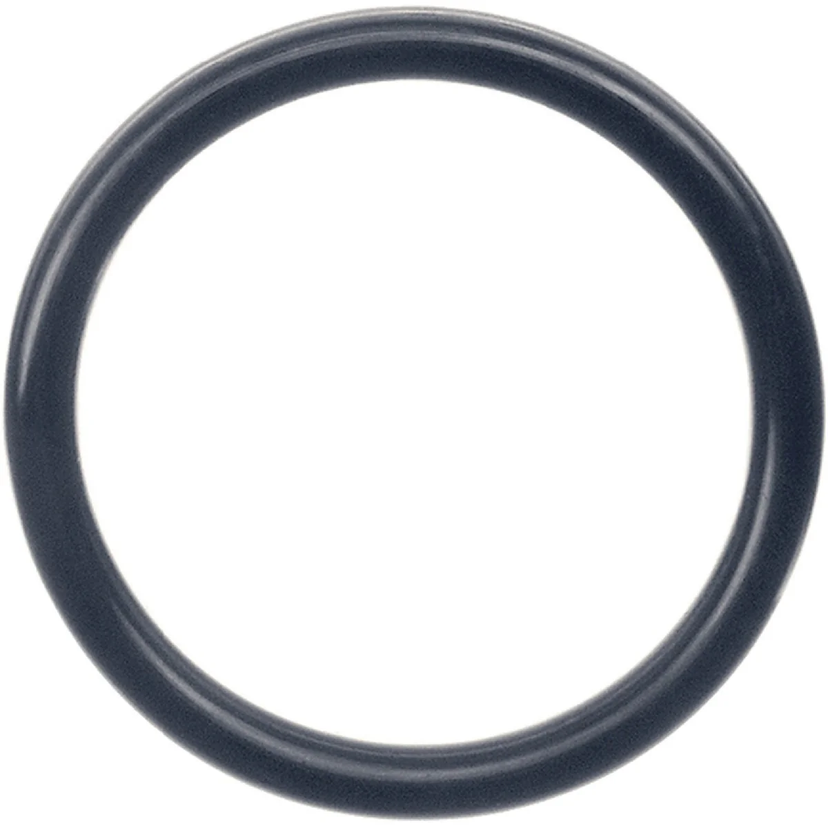 First-Class Danco 104 1-11 16 In. x 2-1 2 In. O-Ring Natural