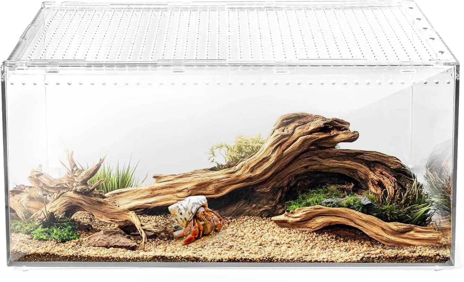 Exceptional AZV Reptile Terrarium Tank Versatile Enclosure for Leopard User-Friendly