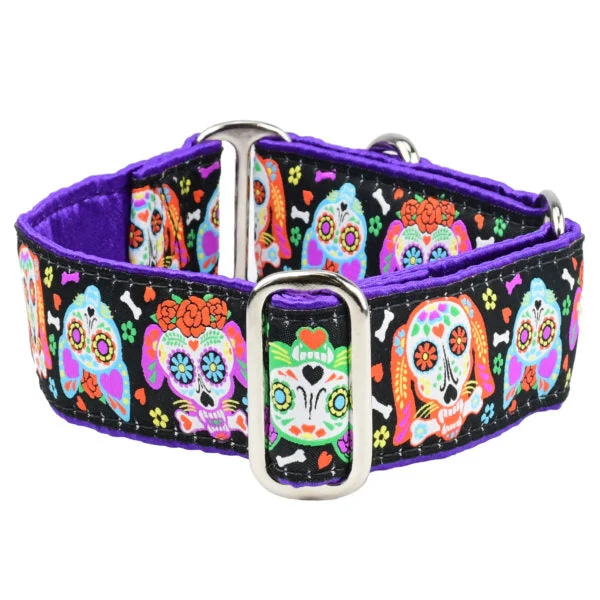 Official XOLO – Sugar Skull Martingale Dog Collar Fine