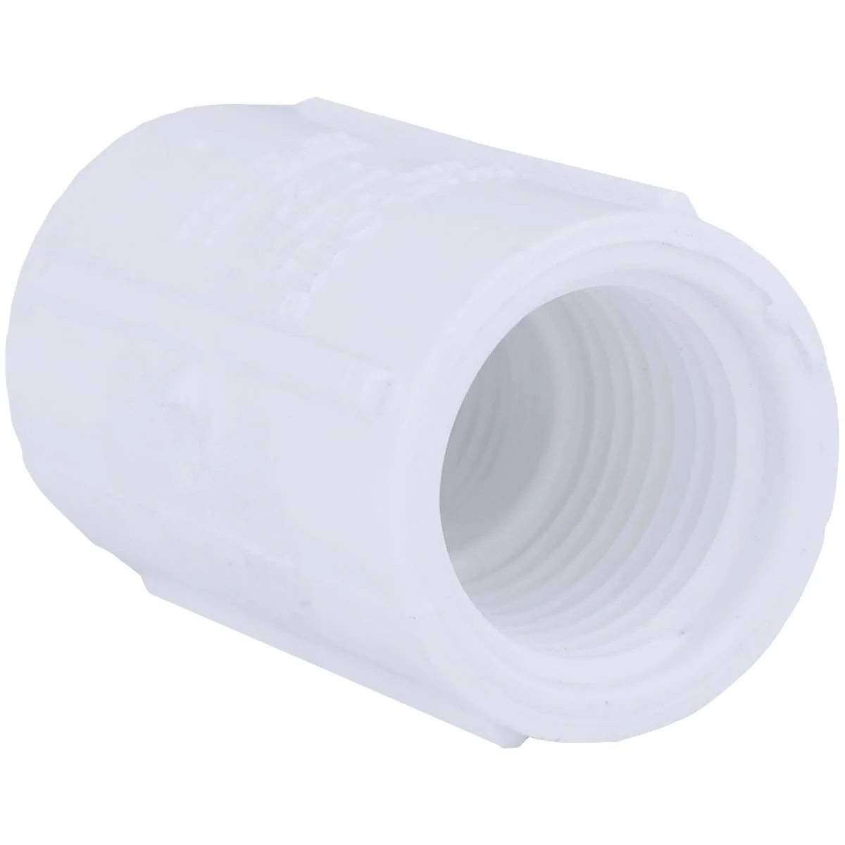Casual Charlotte Pipe 1 2 In. FIP Sch. 40 Threaded PVC Coupling Natural
