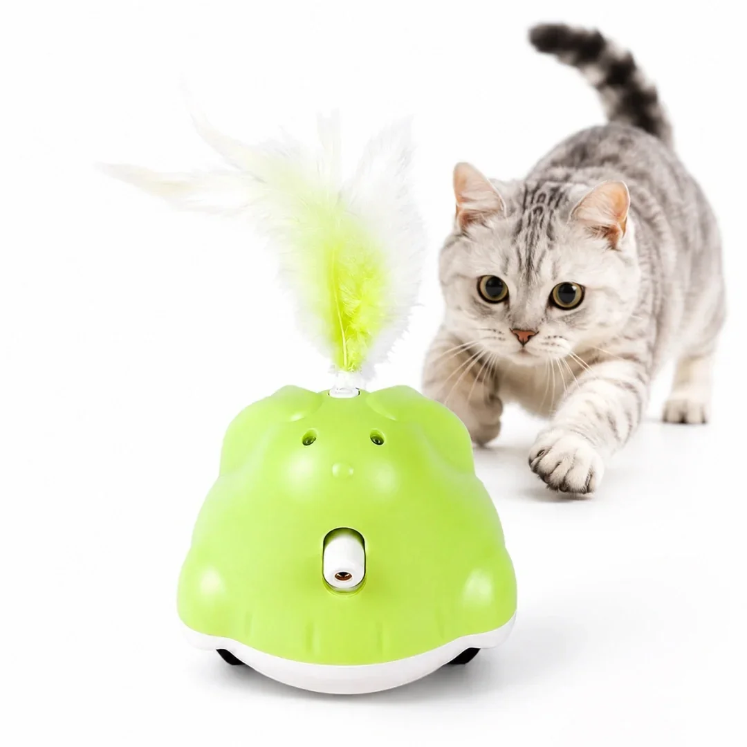 First-Class CatChase Outstanding