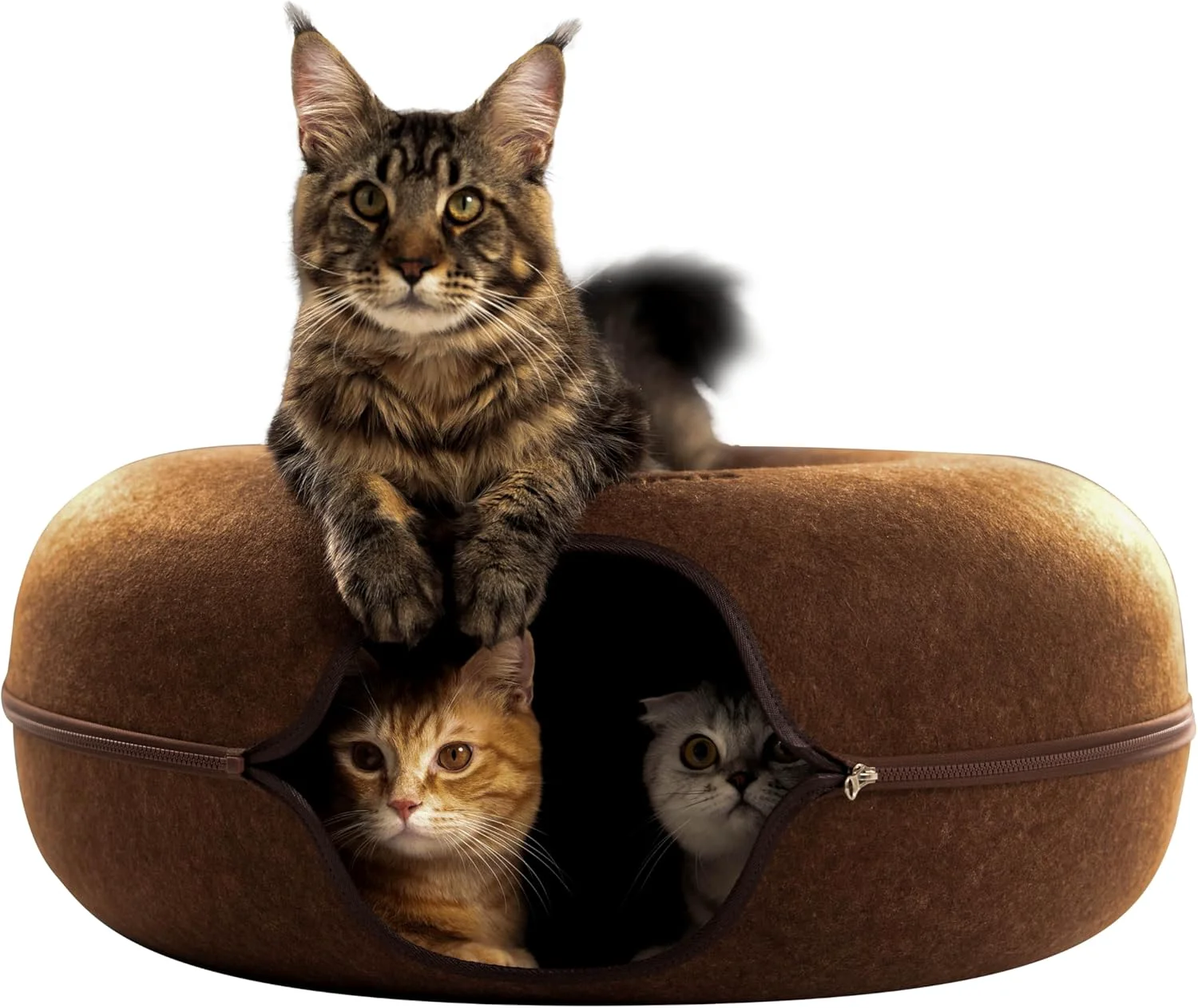 Green Cattasaurus Peekaboo Cat Cave for Multiple Large Cats Up to 30-45 Lbs Scratch Detachable Washable Tunnel Bed Comfy Donut Cat Cave Brown Jumbo Practical