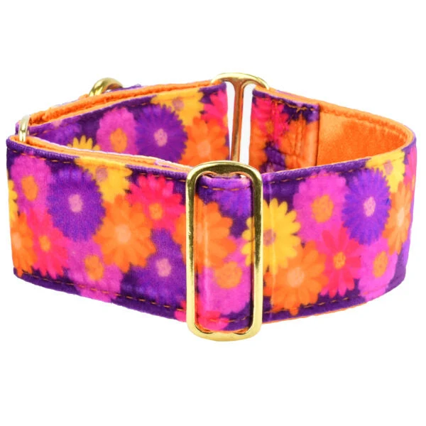 Expertly Made Gerbera Daisy Elite Velvet Buckle Martingale Dog Collar Premium Material