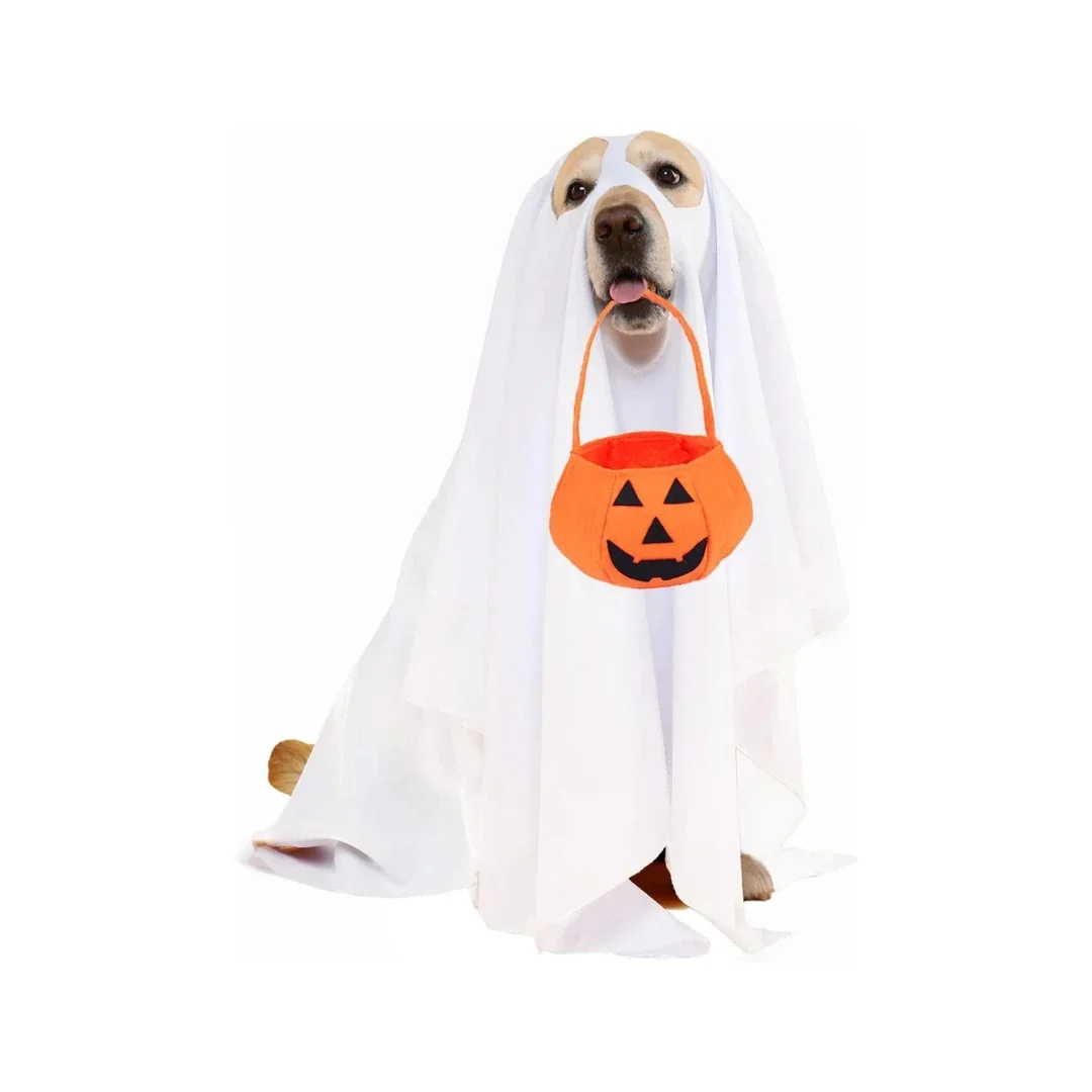 Carefully Designed Fato de Halloween com cesto de abóbora para cães Certified