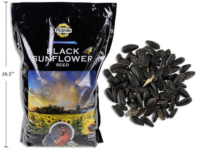 High-Performance Picardie Sunflower Seeds - Bird Food Healthy