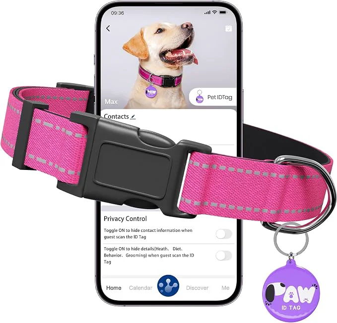 Reliable Reflective Dog Collar for Medium Dogs Versatile