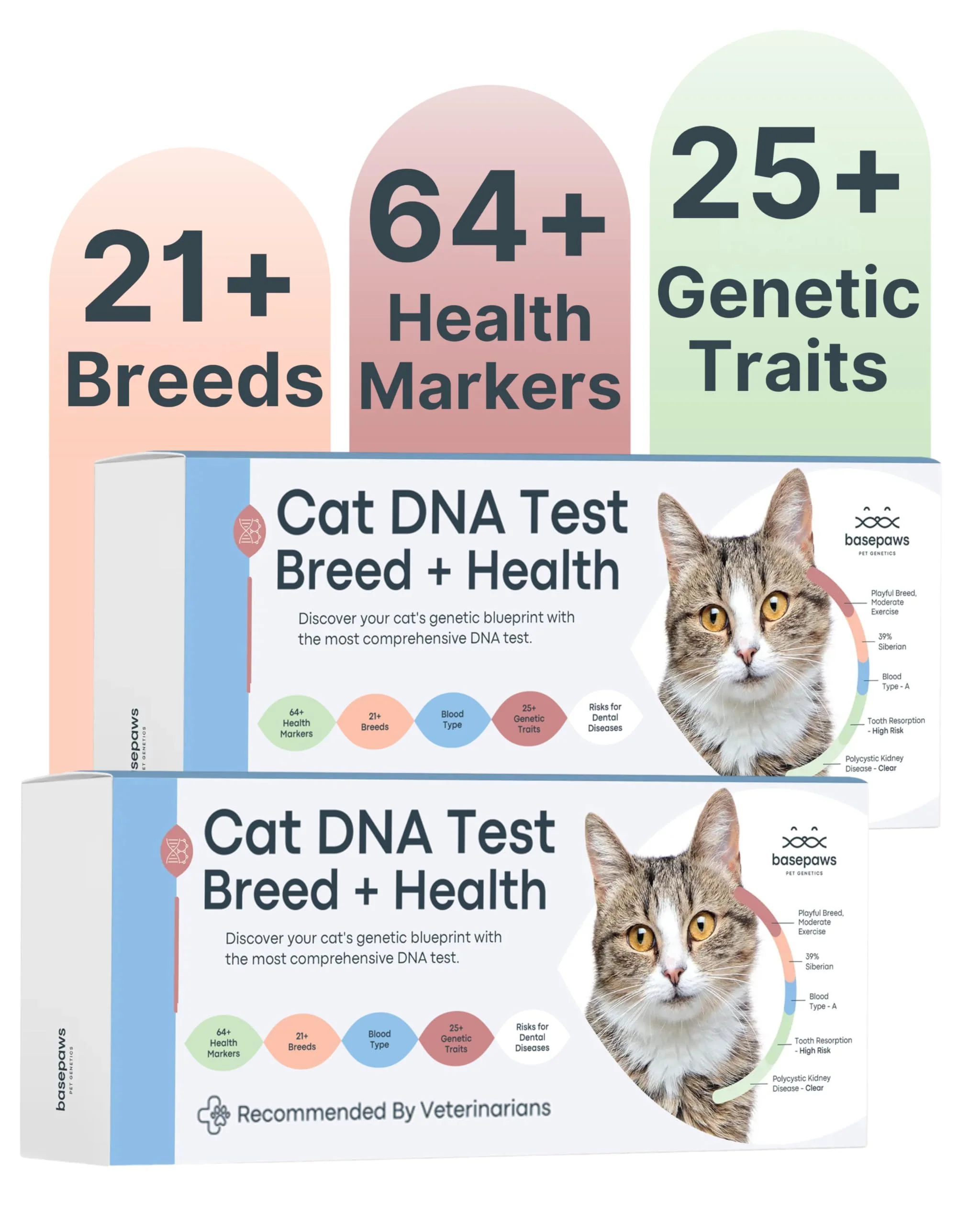 Lightweight Basepaws Cat DNA Test Kit 2-Pack – 21 Breeds 114 Health Dental Traits Smooth