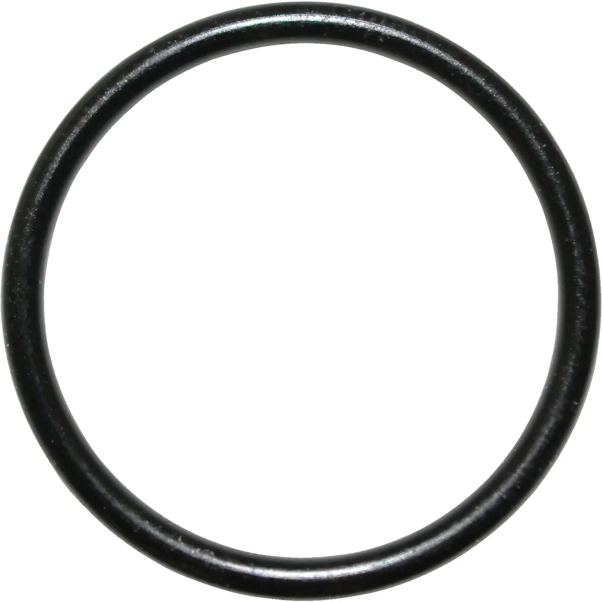 Outstanding Danco 32 13 16 In. x 15 16 In. Buna-N O-Ring Professional
