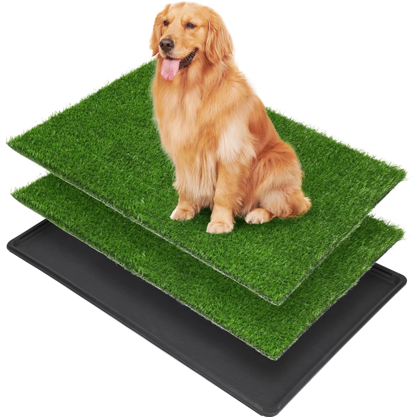Exclusive LOOBANI Dog Grass Pad with Tray Large – Indoor Potty for Apartment Patio Training 2 Pads Natural