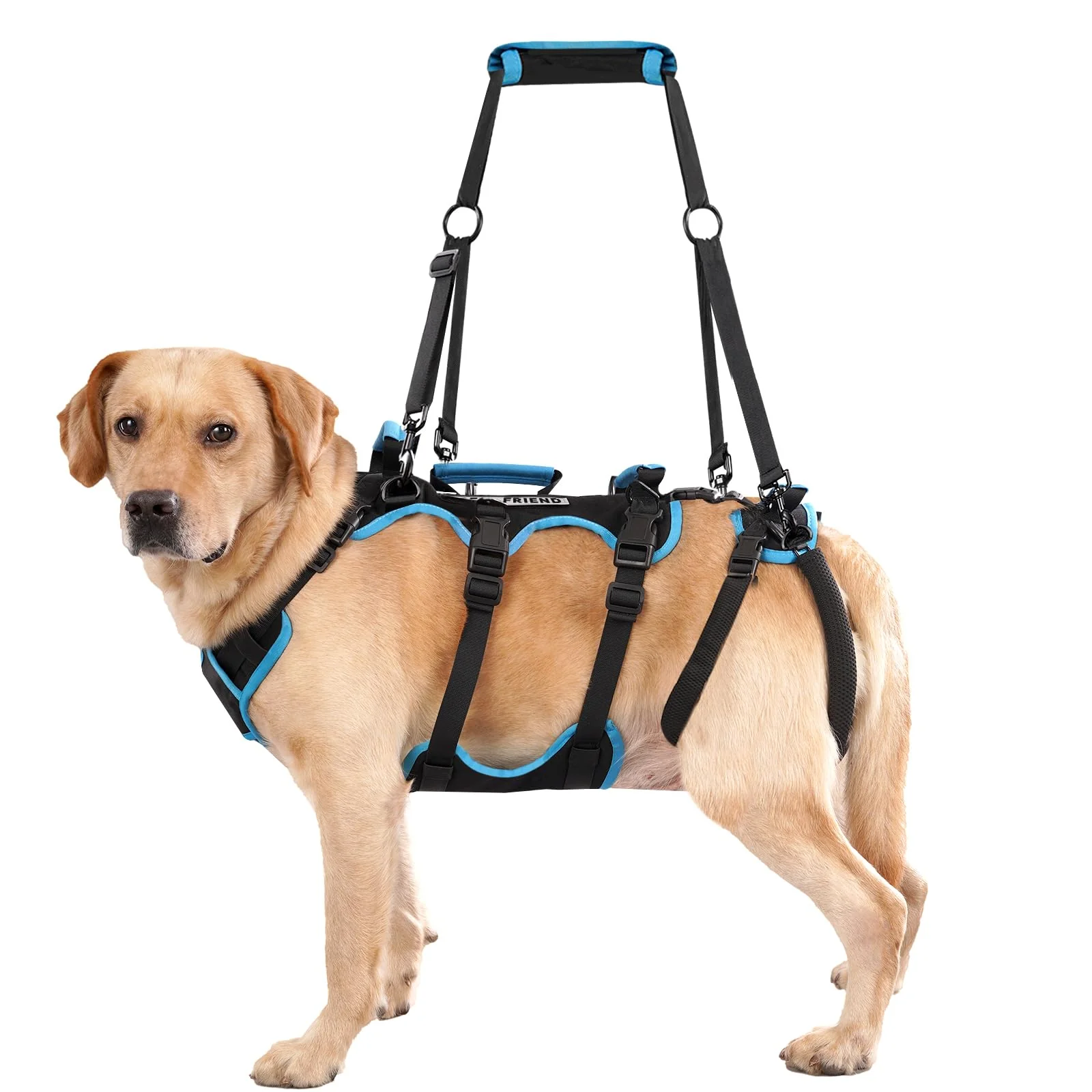 Soft Lafoty Dog Lift Harness for Large Male Dogs – 2-in-1 Detachable Hind-Leg Support 4-Handle Full-Body Carry Harness Black X-Large Premium