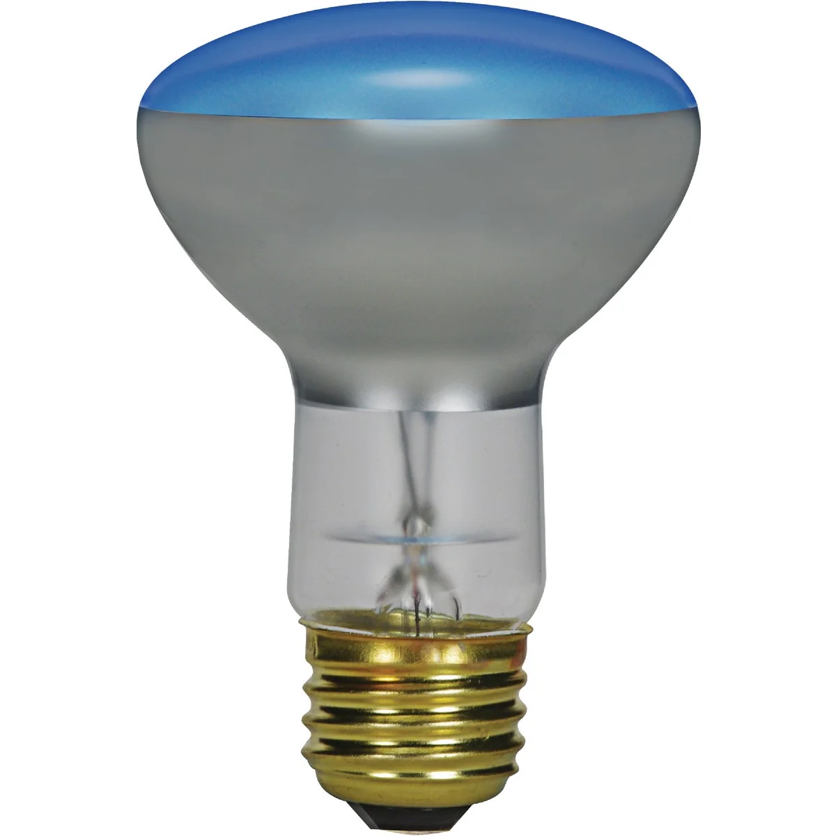 Minimalist Satco 75W Frosted Medium Base R25 Incandescent Plant Light Bulb Trusted