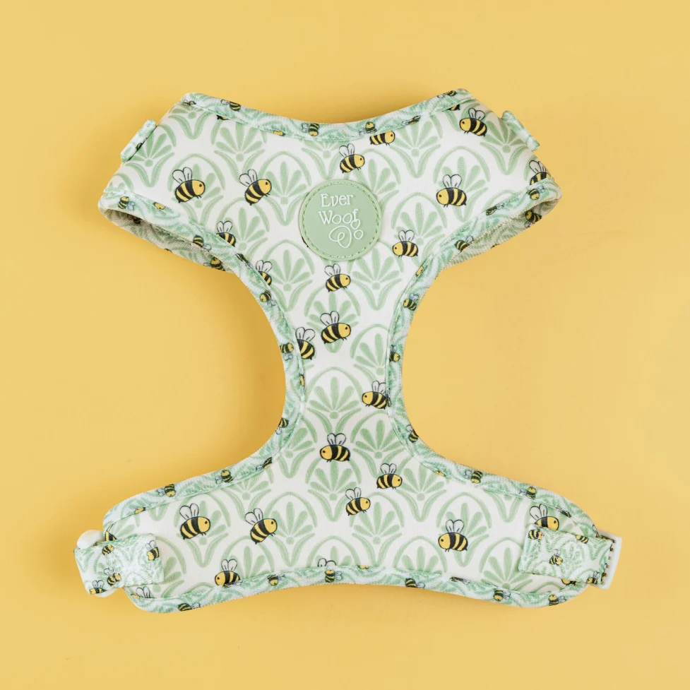 Excellent Little Honey Adjustable Harness Environmentally Friendly