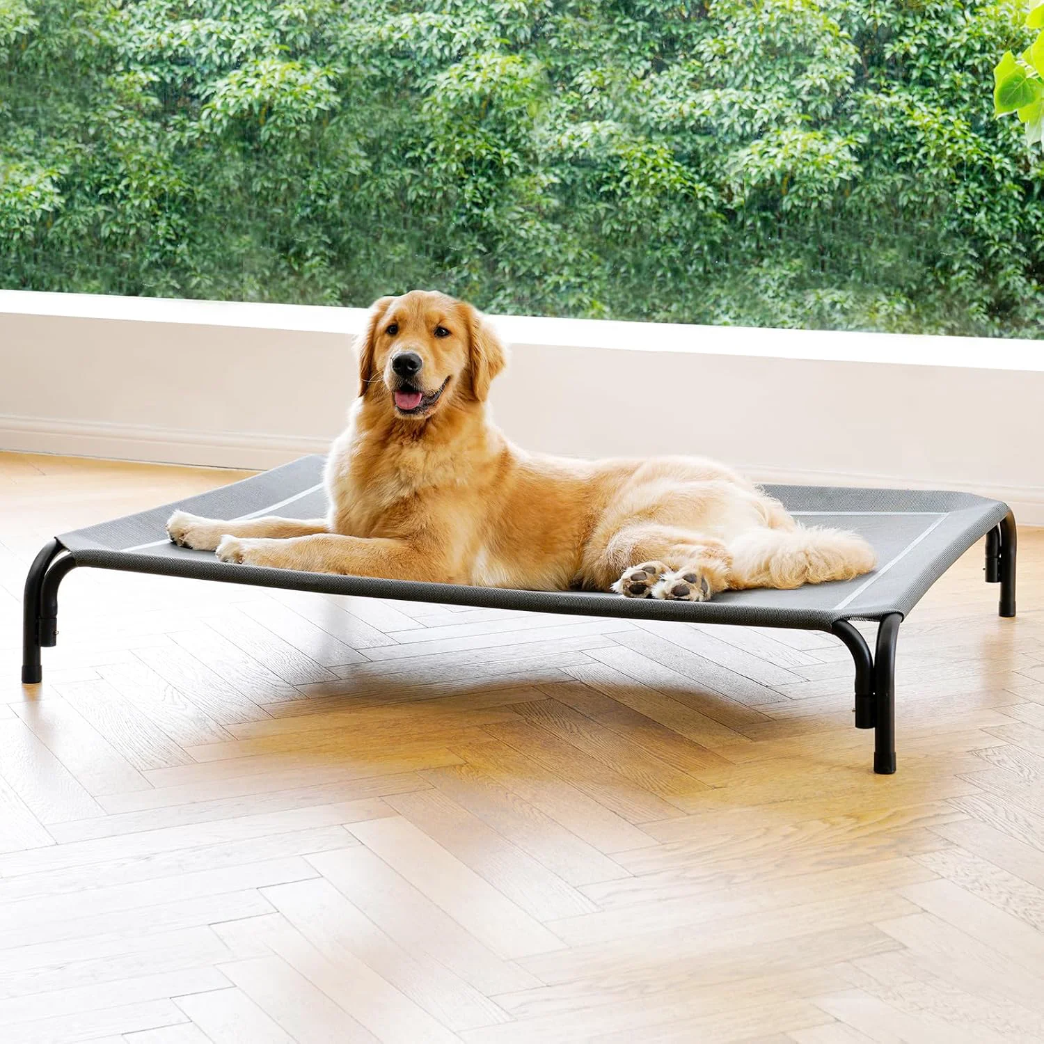 Clean d Dog Bed Raised Outdoor Dog Cot for Extra Large Dogs Installation Requires No Tools Frame with Washable Cooling Breathable Mesh Anti-Slip Feet Indoor Pet Bed Grey 48.8 Inches Crafted
