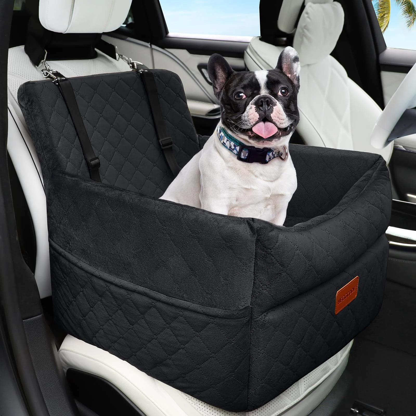 High-Grade HEGGCOOE Small Dog Car Seat – Memory Foam Booster for Cars Up to 35 lbs Relaxed