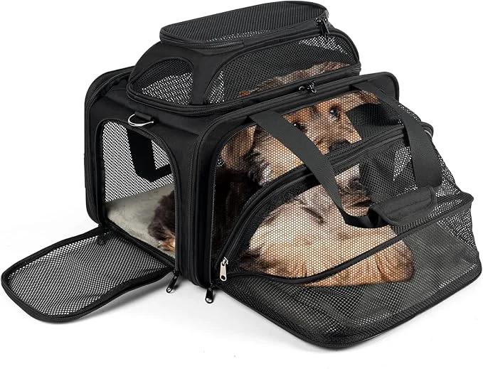 Selected top and 1 Side Expandable TSA and American Delta United Airline Healthy