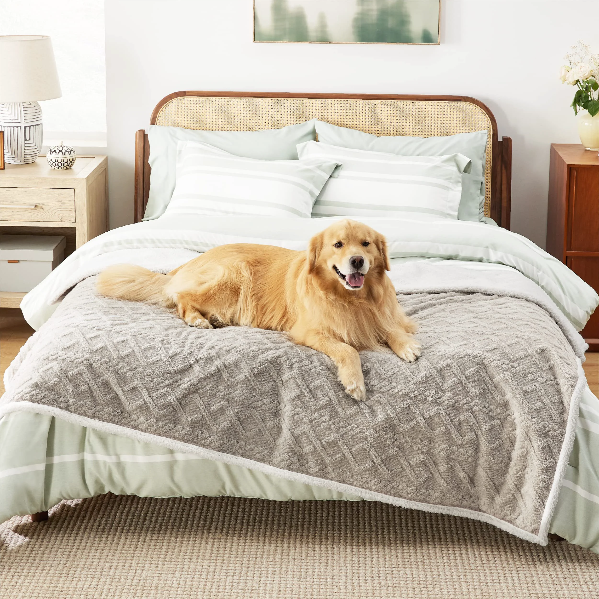 High-Grade Bedsure Waterproof Dog Blanket for Bed - Reversible Plush Protective Throw 86x90 Queen Pale Oak Casual