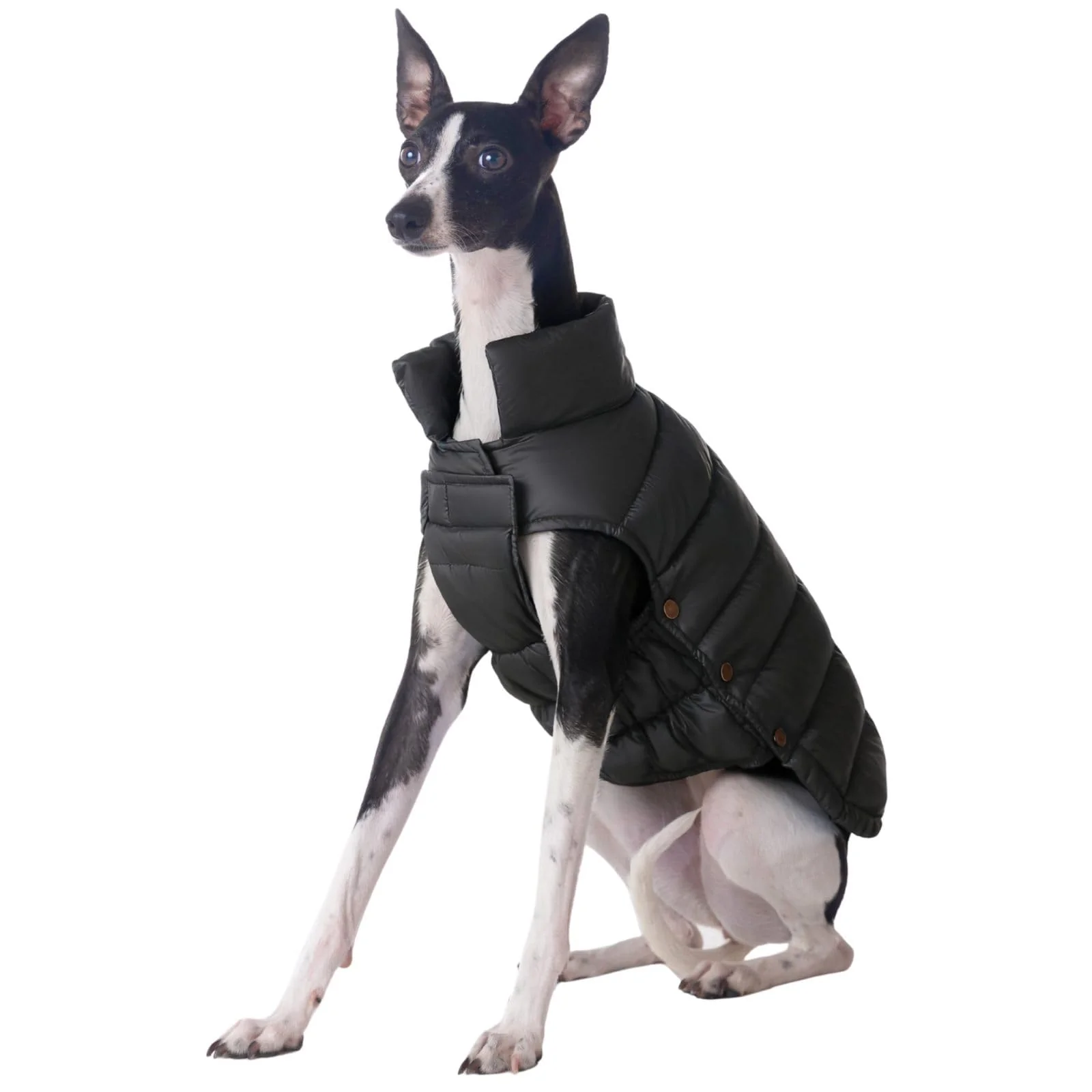 Long-Lasting SPACE LION Dog Puffer Jacket – Large Breed Winter Coat Onyx Black 30 5XL Breathable