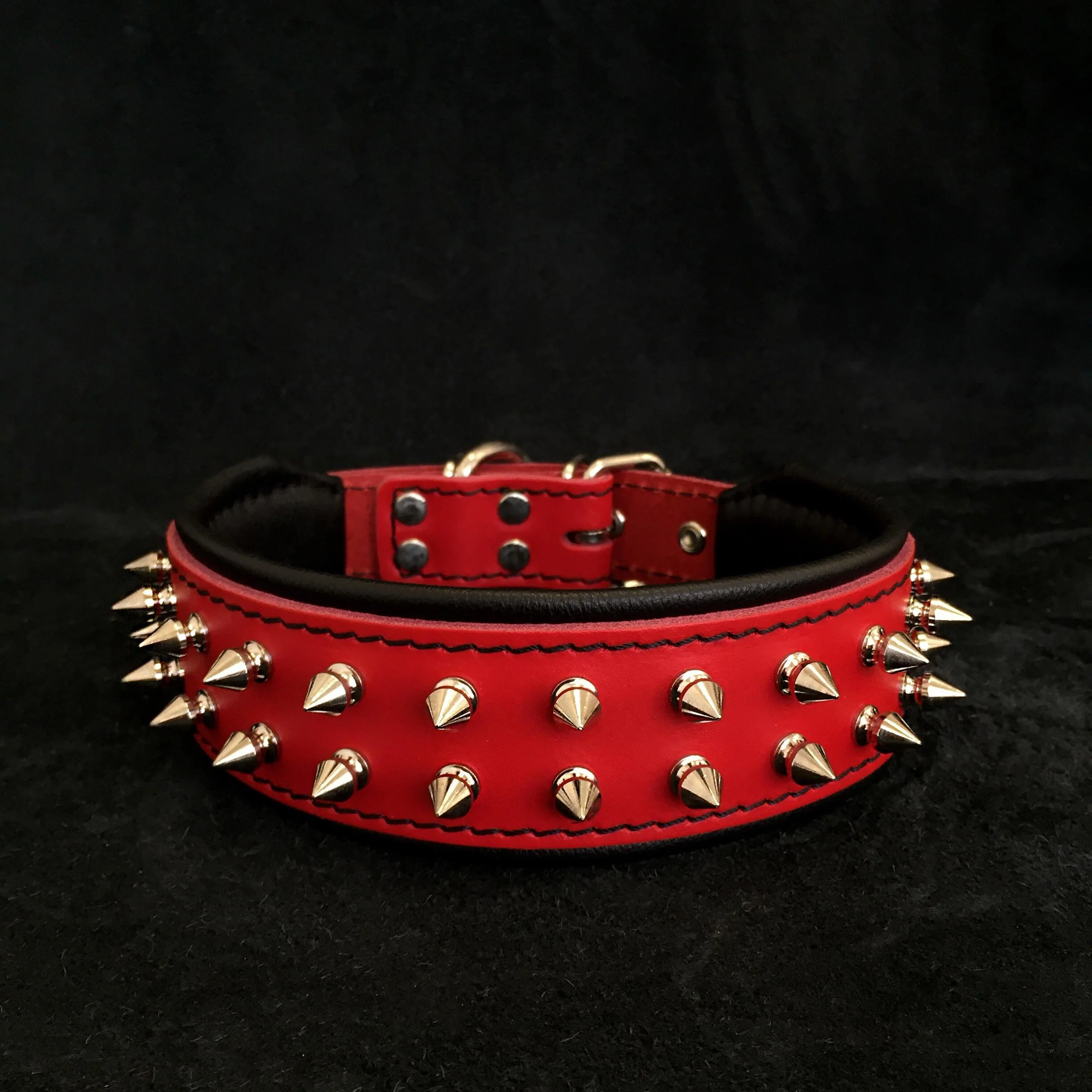 Healthy Red Frenchie collar Clean