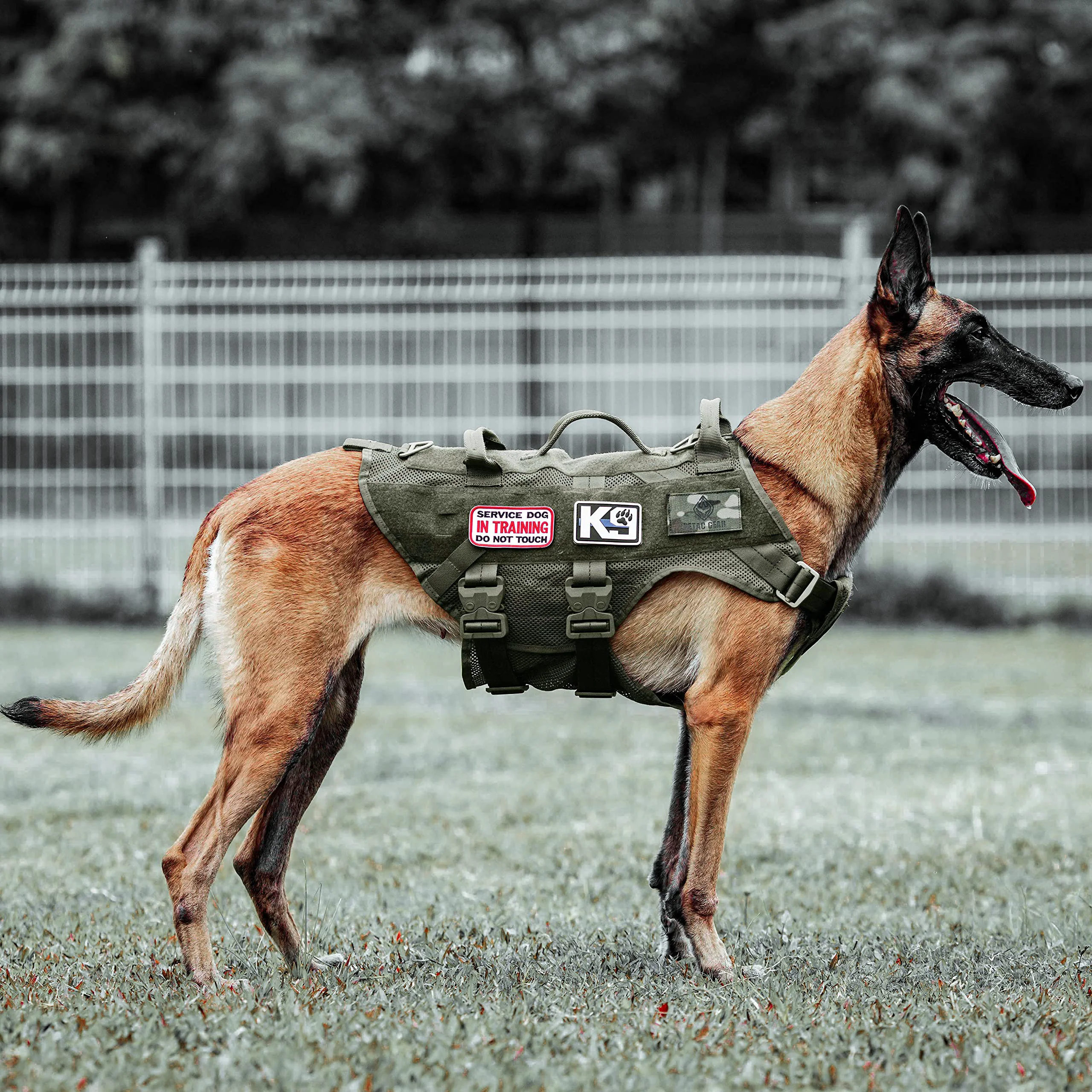 Powerful PETAC GEAR Tactical No-Pull Dog Harness for Large Working Dogs – RG M User-Friendly